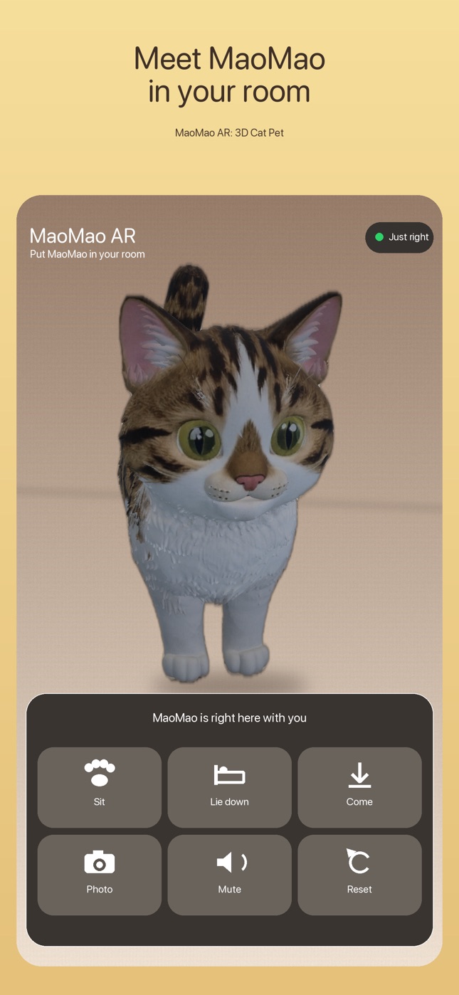 MaoMao AR welcome screen