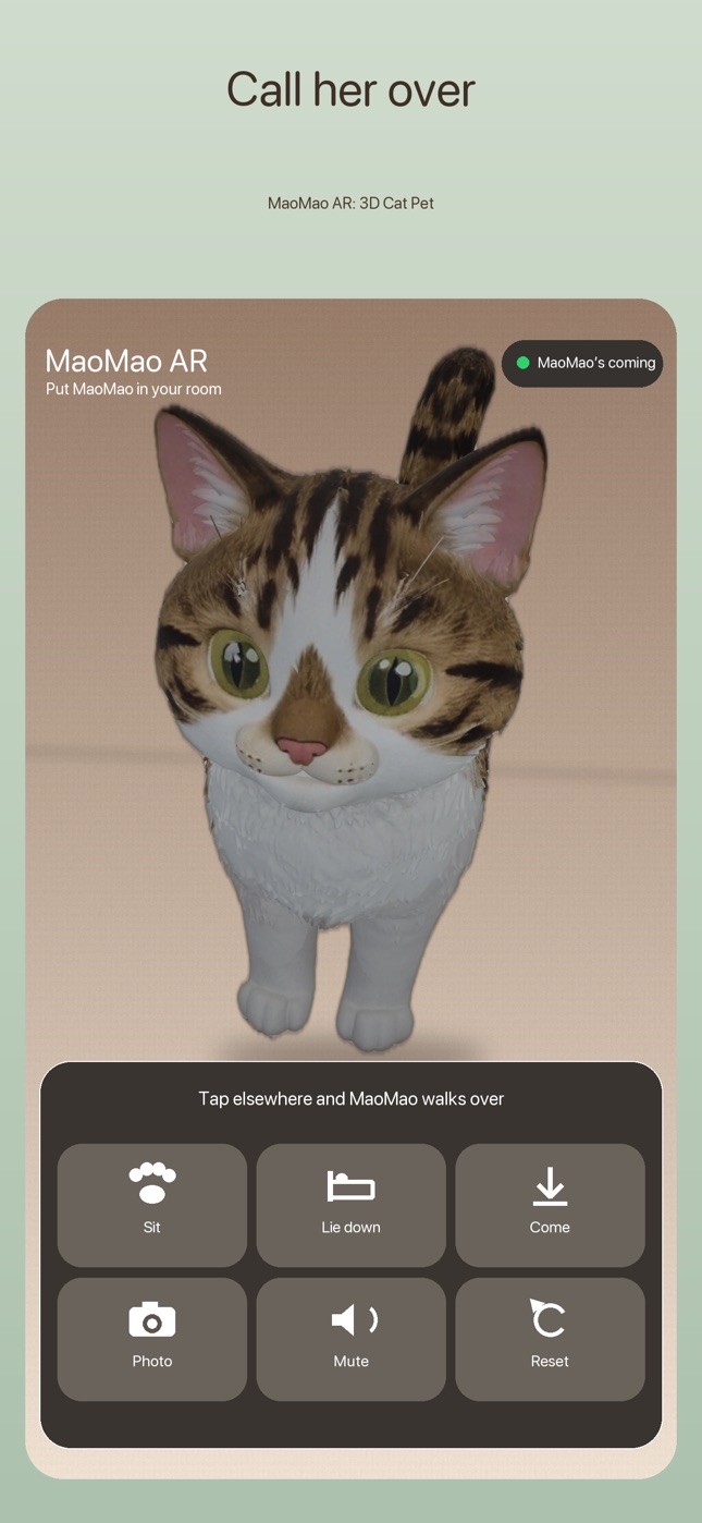 MaoMao AR interaction controls