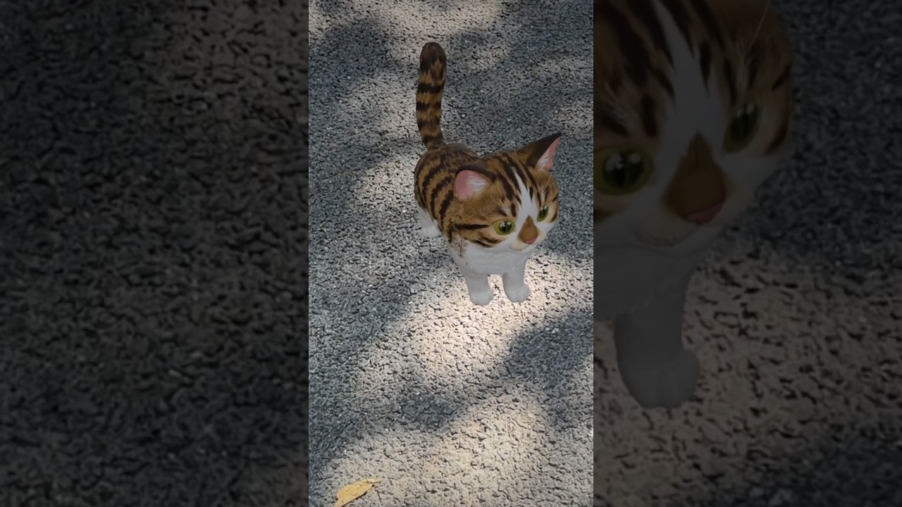 MaoMao standing close to the camera in AR